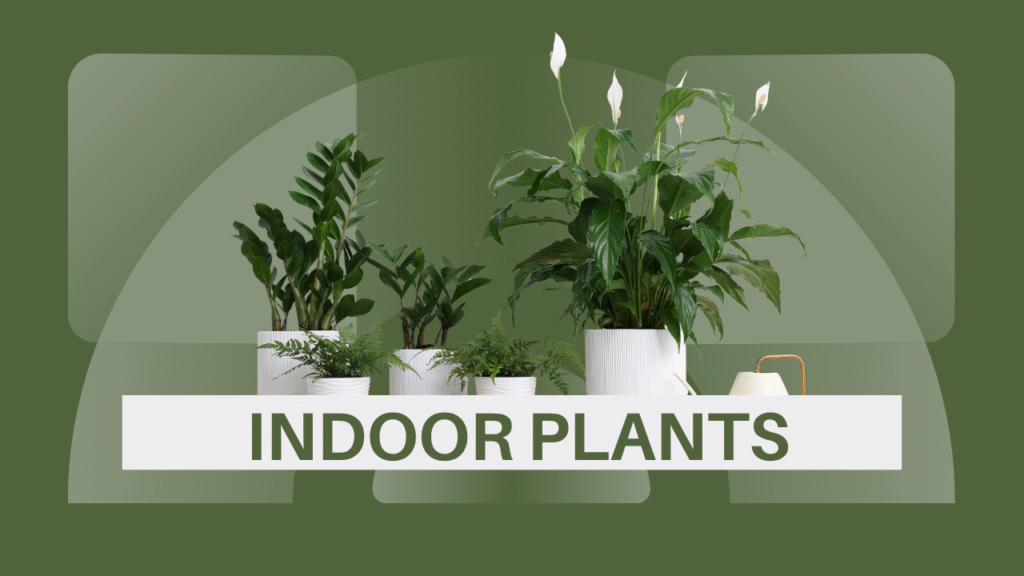 Indoor greenery